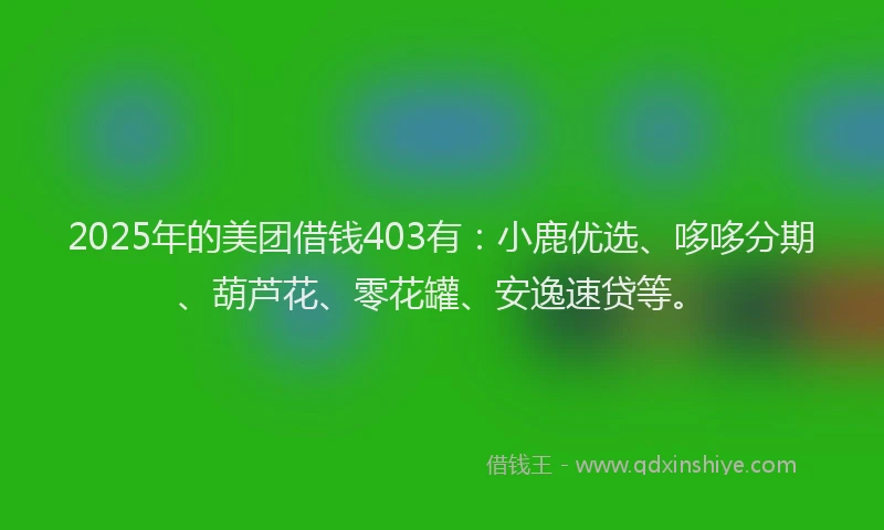2025年的美团借钱403有：小鹿优选、哆哆分期、葫芦花、零花罐、安逸速贷等。