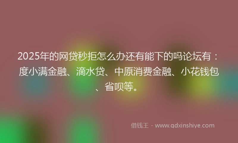 2025年的网贷秒拒怎么办还有能下的吗论坛有：度小满金融、滴水贷、中原消费金融、小花钱包、省呗等。