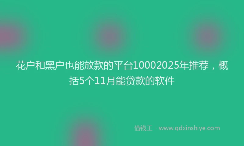 花户和黑户也能放款的平台10002025年推荐，概括5个11月能贷款的软件