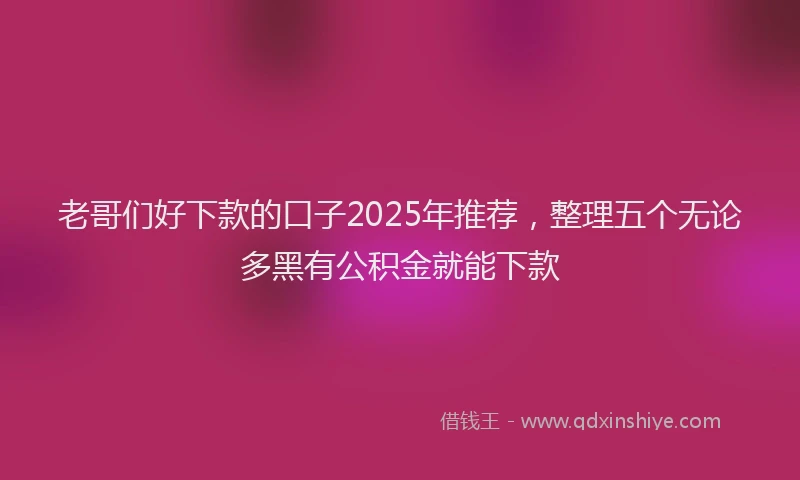 老哥们好下款的口子2025年推荐，整理五个无论多黑有公积金就能下款