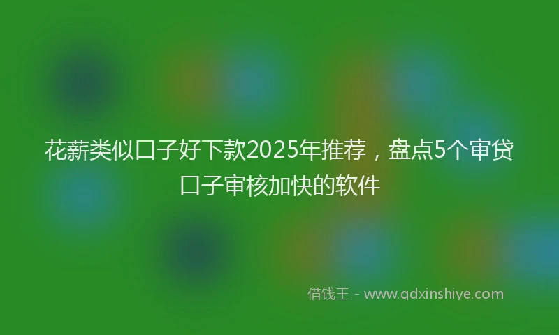 花薪类似口子好下款2025年推荐，盘点5个审贷口子审核加快的软件