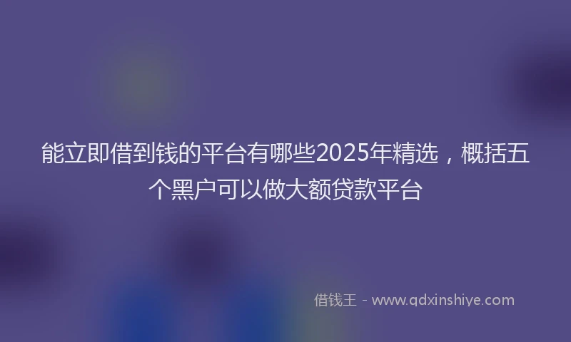能立即借到钱的平台有哪些2025年精选，概括五个黑户可以做大额贷款平台