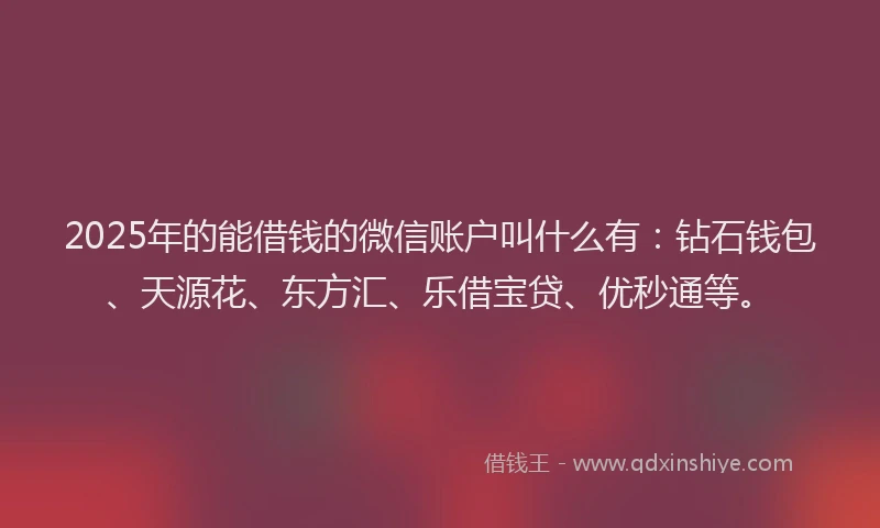 2025年的能借钱的微信账户叫什么有：钻石钱包、天源花、东方汇、乐借宝贷、优秒通等。