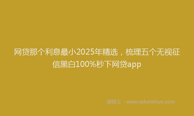 网贷那个利息最小2025年精选，梳理五个无视征信黑白100%秒下网贷app
