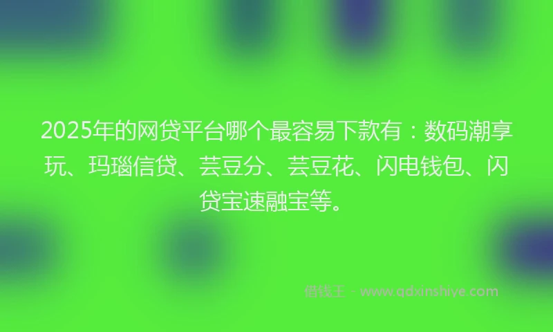 2025年的网贷平台哪个最容易下款有：数码潮享玩、玛瑙信贷、芸豆分、芸豆花、闪电钱包、闪贷宝速融宝等。