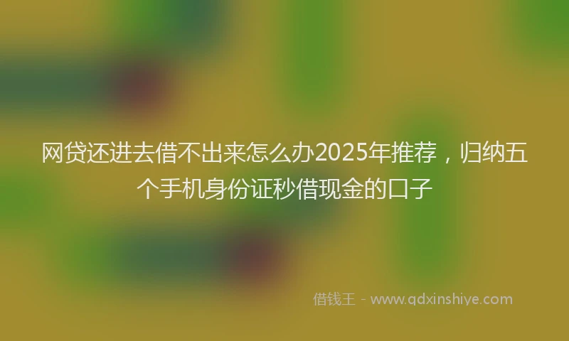 网贷还进去借不出来怎么办2025年推荐，归纳五个手机身份证秒借现金的口子