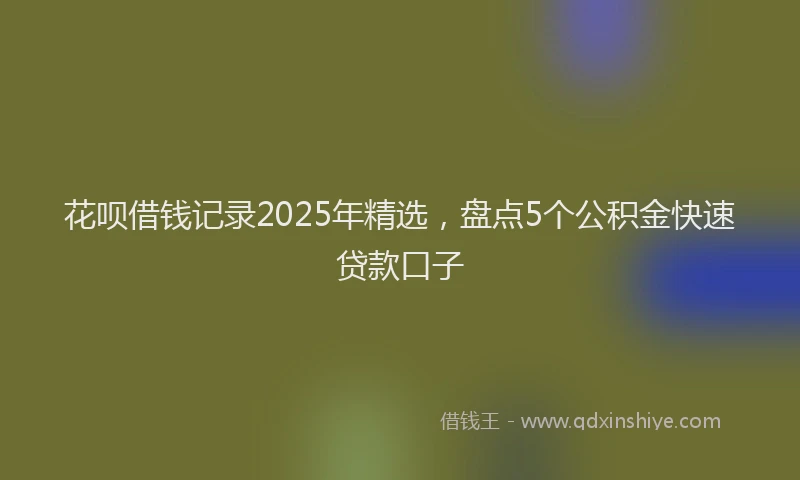 花呗借钱记录2025年精选，盘点5个公积金快速贷款口子