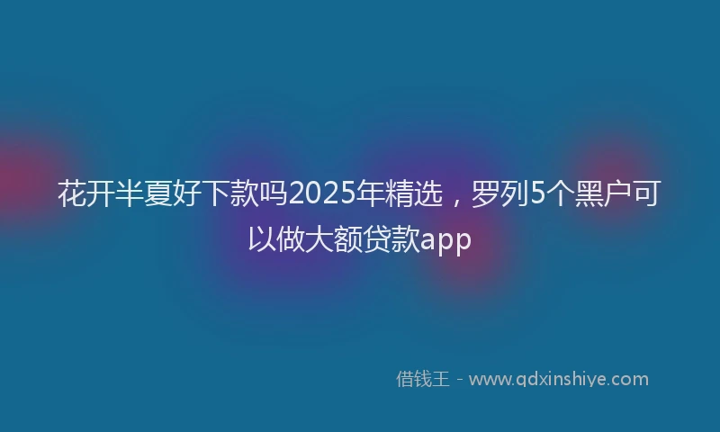 花开半夏好下款吗2025年精选，罗列5个黑户可以做大额贷款app