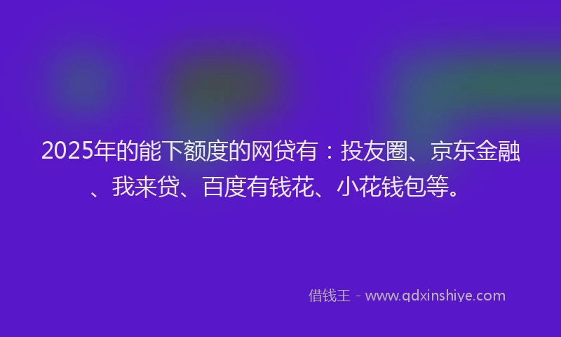 2025年的能下额度的网贷有：投友圈、京东金融、我来贷、百度有钱花、小花钱包等。