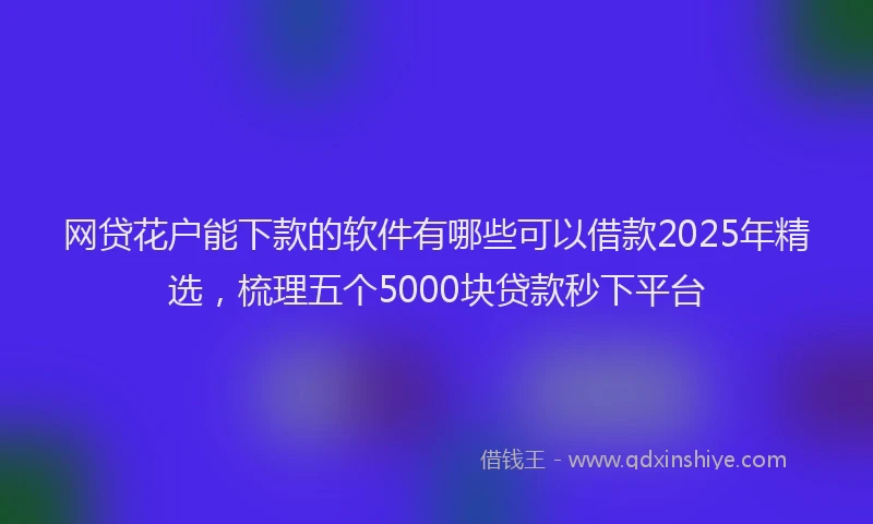 网贷花户能下款的软件有哪些可以借款2025年精选，梳理五个5000块贷款秒下平台