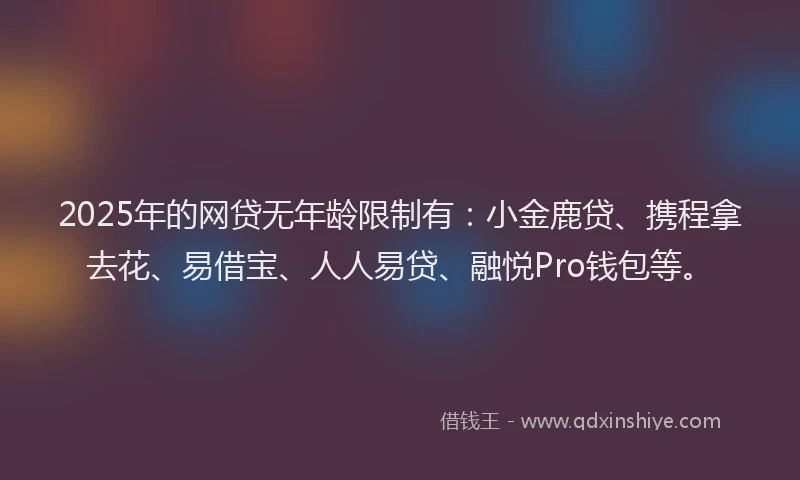 2025年的网贷无年龄限制有：小金鹿贷、携程拿去花、易借宝、人人易贷、融悦Pro钱包等。