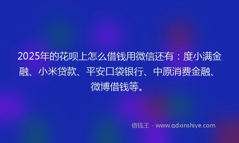 2025年的花呗上怎么借钱用微信还有：度小满金融、小米贷款、平安口袋银行、中原消费金融、微博借钱等。