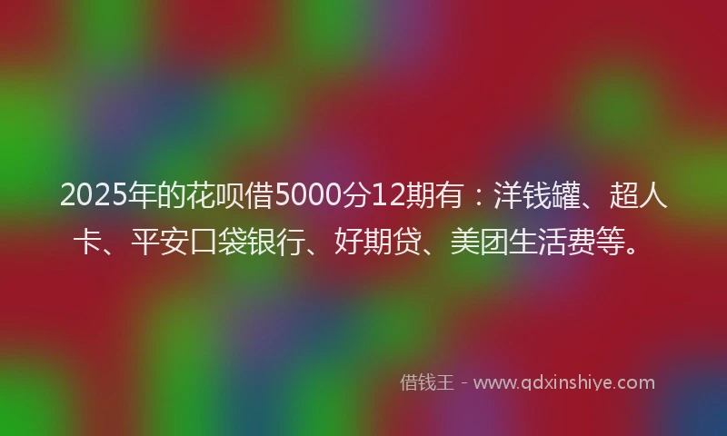 2025年的花呗借5000分12期有：洋钱罐、超人卡、平安口袋银行、好期贷、美团生活费等。