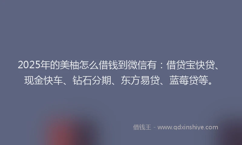 2025年的美柚怎么借钱到微信有：借贷宝快贷、现金快车、钻石分期、东方易贷、蓝莓贷等。