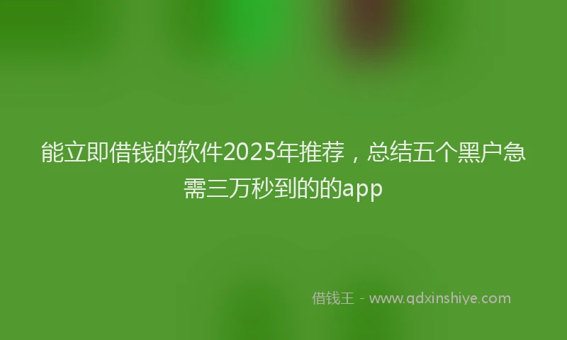 能立即借钱的软件2025年推荐，总结五个黑户急需三万秒到的的app