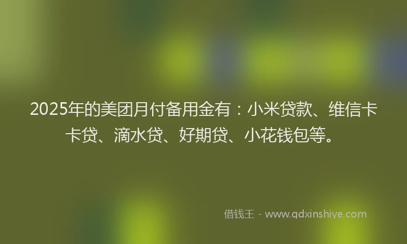 2025年的美团月付备用金有：小米贷款、维信卡卡贷、滴水贷、好期贷、小花钱包等。