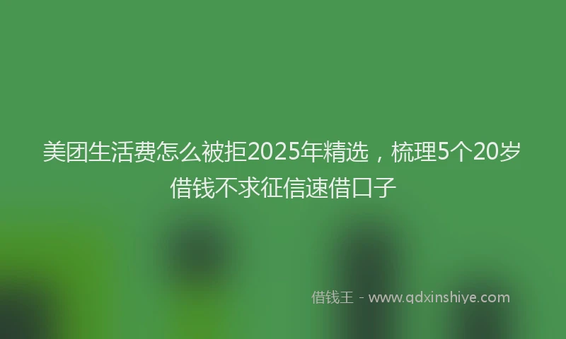 美团生活费怎么被拒2025年精选，梳理5个20岁借钱不求征信速借口子