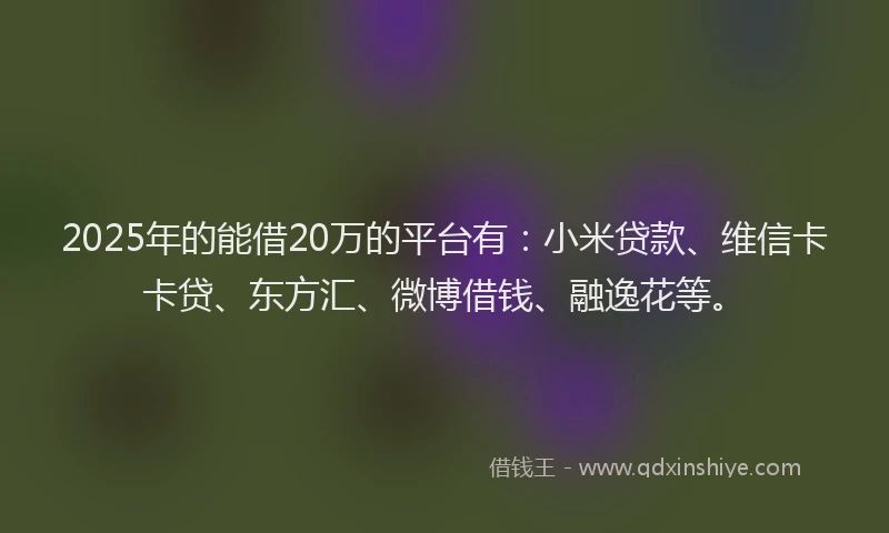2025年的能借20万的平台有：小米贷款、维信卡卡贷、东方汇、微博借钱、融逸花等。