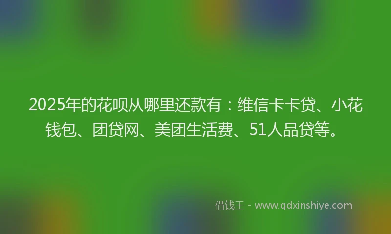 2025年的花呗从哪里还款有：维信卡卡贷、小花钱包、团贷网、美团生活费、51人品贷等。