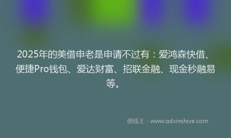 2025年的美借申老是申请不过有：爱鸿森快借、便捷Pro钱包、爱达财富、招联金融、现金秒融易等。