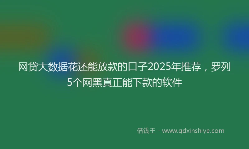网贷大数据花还能放款的口子2025年推荐，罗列5个网黑真正能下款的软件