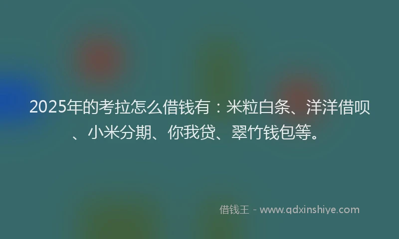 2025年的考拉怎么借钱有：米粒白条、洋洋借呗、小米分期、你我贷、翠竹钱包等。