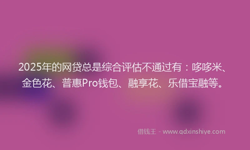 2025年的网贷总是综合评估不通过有：哆哆米、金色花、普惠Pro钱包、融享花、乐借宝融等。