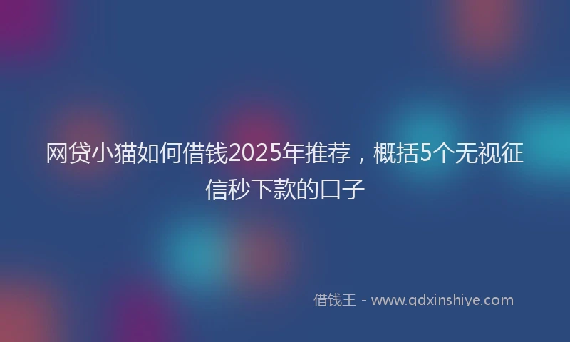网贷小猫如何借钱2025年推荐，概括5个无视征信秒下款的口子