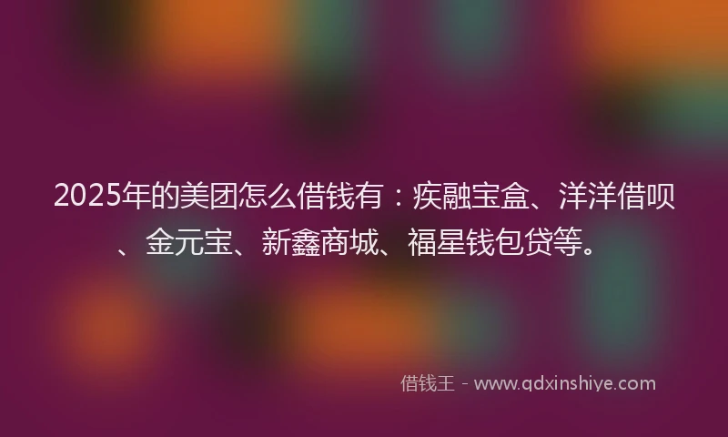 2025年的美团怎么借钱有：疾融宝盒、洋洋借呗、金元宝、新鑫商城、福星钱包贷等。