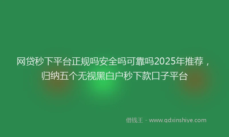网贷秒下平台正规吗安全吗可靠吗2025年推荐，归纳五个无视黑白户秒下款口子平台