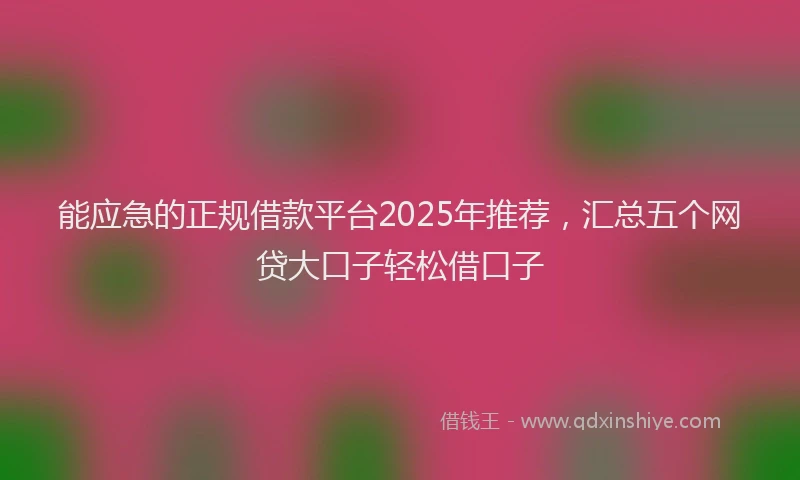 能应急的正规借款平台2025年推荐，汇总五个网贷大口子轻松借口子