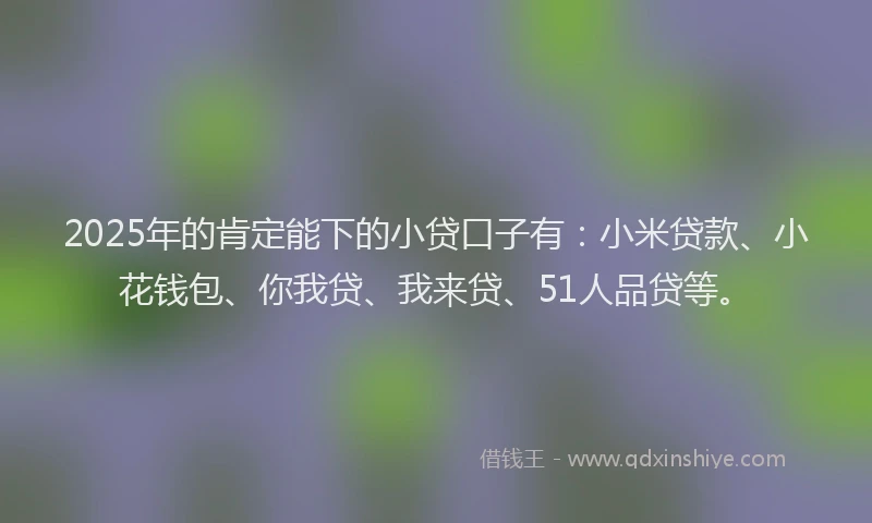 2025年的肯定能下的小贷口子有：小米贷款、小花钱包、你我贷、我来贷、51人品贷等。