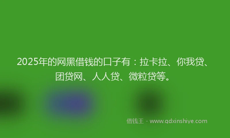 2025年的网黑借钱的口子有：拉卡拉、你我贷、团贷网、人人贷、微粒贷等。
