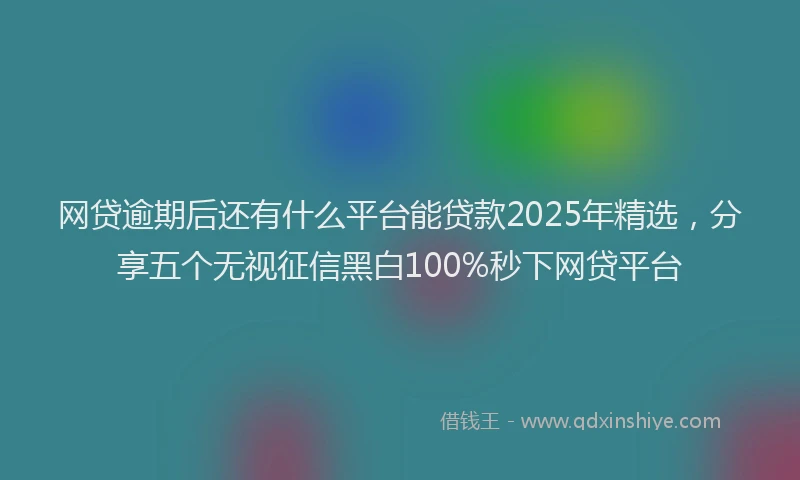 网贷逾期后还有什么平台能贷款2025年精选，分享五个无视征信黑白100%秒下网贷平台
