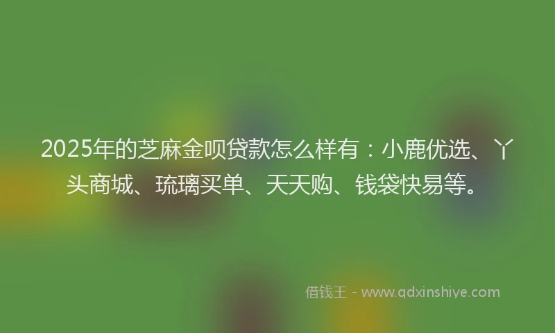 2025年的芝麻金呗贷款怎么样有：小鹿优选、丫头商城、琉璃买单、天天购、钱袋快易等。
