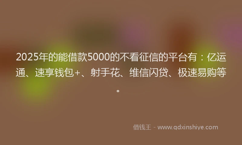 2025年的能借款5000的不看征信的平台有：亿运通、速享钱包+、射手花、维信闪贷、极速易购等。