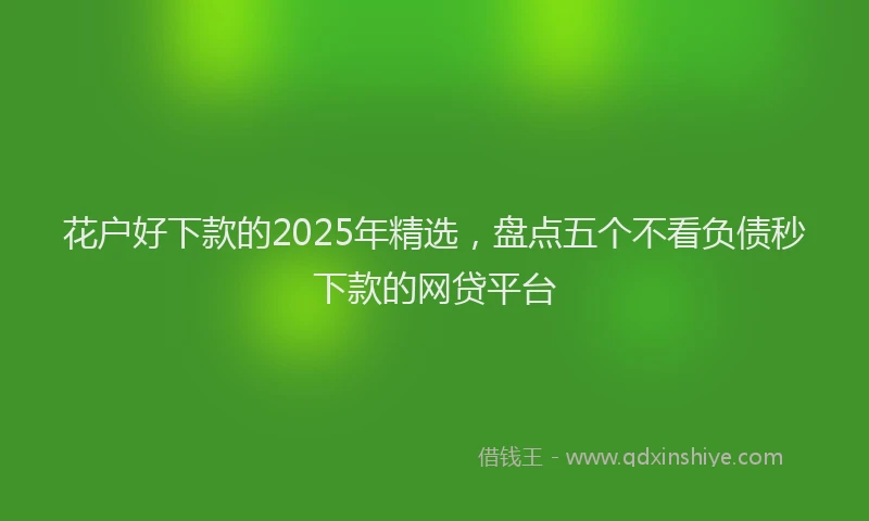 花户好下款的2025年精选，盘点五个不看负债秒下款的网贷平台