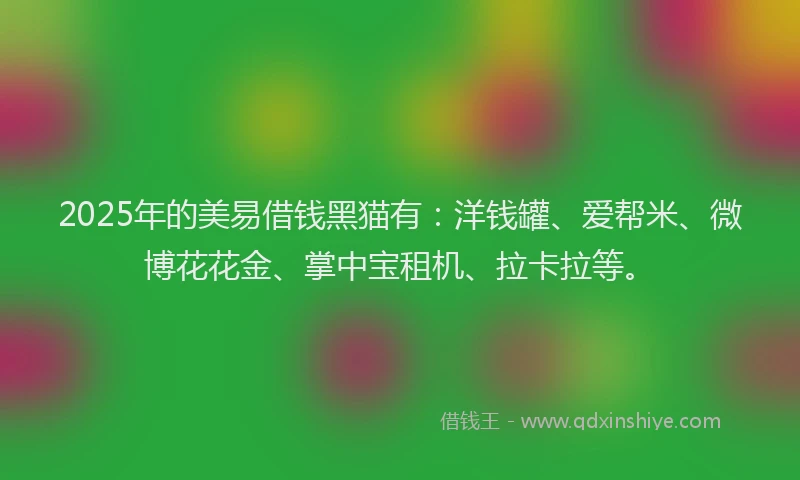 2025年的美易借钱黑猫有：洋钱罐、爱帮米、微博花花金、掌中宝租机、拉卡拉等。
