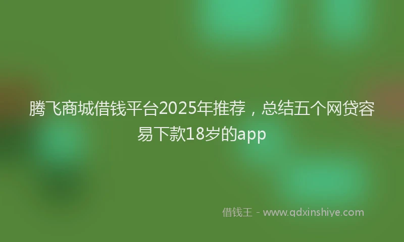腾飞商城借钱平台2025年推荐，总结五个网贷容易下款18岁的app