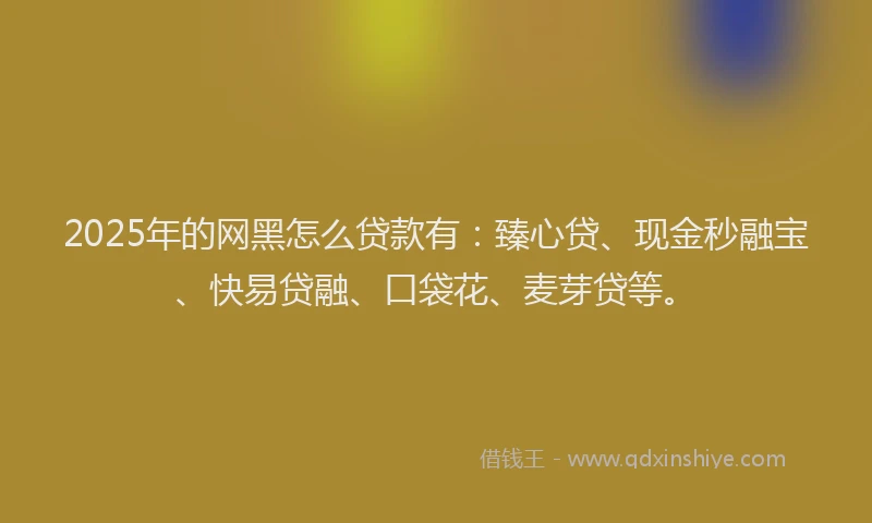 2025年的网黑怎么贷款有：臻心贷、现金秒融宝、快易贷融、口袋花、麦芽贷等。