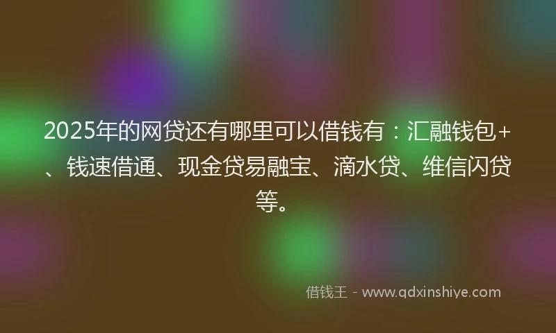 2025年的网贷还有哪里可以借钱有：汇融钱包+、钱速借通、现金贷易融宝、滴水贷、维信闪贷等。