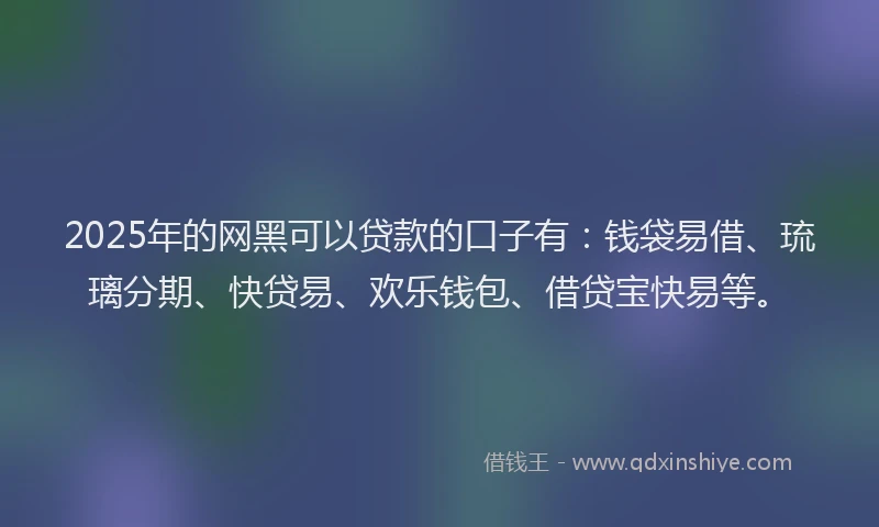2025年的网黑可以贷款的口子有：钱袋易借、琉璃分期、快贷易、欢乐钱包、借贷宝快易等。