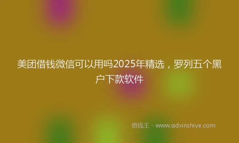 美团借钱微信可以用吗2025年精选，罗列五个黑户下款软件