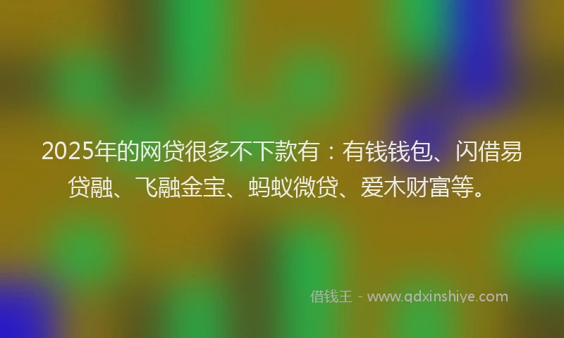 2025年的网贷很多不下款有：有钱钱包、闪借易贷融、飞融金宝、蚂蚁微贷、爱木财富等。