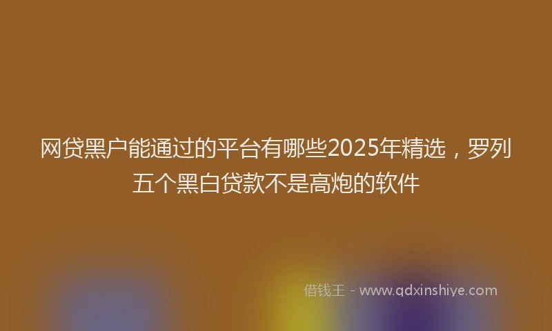 网贷黑户能通过的平台有哪些2025年精选，罗列五个黑白贷款不是高炮的软件