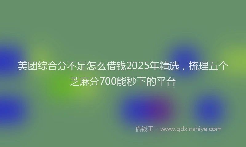 美团综合分不足怎么借钱2025年精选，梳理五个芝麻分700能秒下的平台