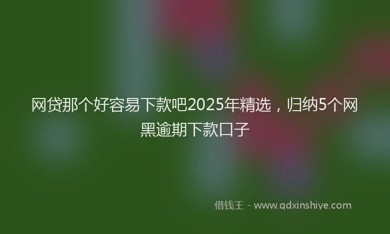 网贷那个好容易下款吧2025年精选，归纳5个网黑逾期下款口子