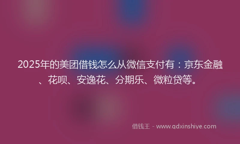 2025年的美团借钱怎么从微信支付有：京东金融、花呗、安逸花、分期乐、微粒贷等。