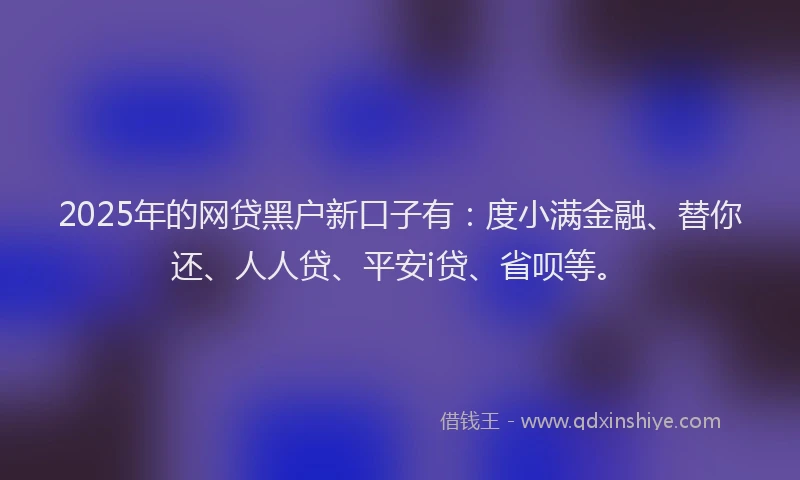 2025年的网贷黑户新口子有：度小满金融、替你还、人人贷、平安i贷、省呗等。