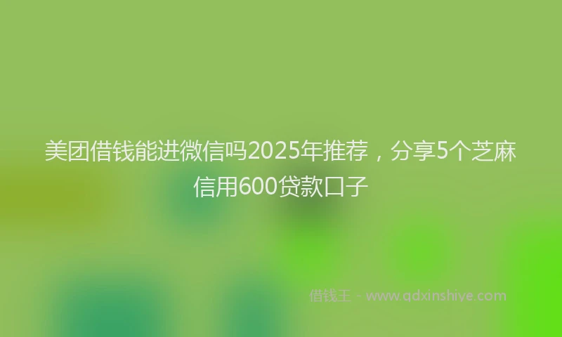 美团借钱能进微信吗2025年推荐，分享5个芝麻信用600贷款口子